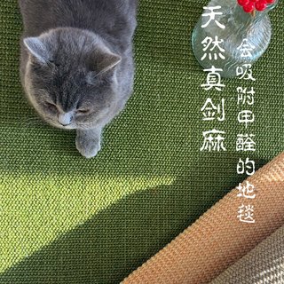 日式耐磨防猫抓天然剑麻黄麻编制地毯客厅茶几茶室书房榻榻米卧室