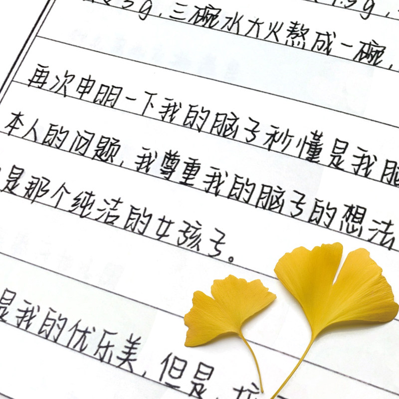 Hard pen calligraphy practice post Roll kite body copybook practice adult male and female students handwriting beautiful block letters College students