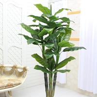 1,9 метра четырех выстрелов вместе (без горшков)