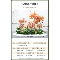 2 метра и четыре выстрела красного кленового пейзажа шесть