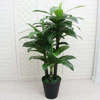 1,6 метра трех чемпионов+горшок+трава