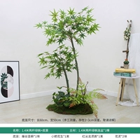 1,4 метра двух снимков зеленый клен+нижняя сцена