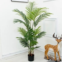 1,4 метра благородной наложницы Kwai Po