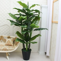 1,9 метра от четырехсел семейства Huan+Pot+трава