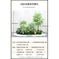 2 метра 2 вилка, Южный Тяньчжонг Бамбук Вид шесть