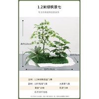 1,2 метра зеленого клена.