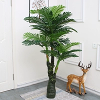 1,6 метра Золотого Дракона жемчужного подсолнечника (без горшков)