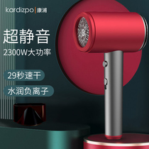 Electric blow machine mute speed dry home with negative ion hair care dorm room student high power blow cylinder electric blow hair salon