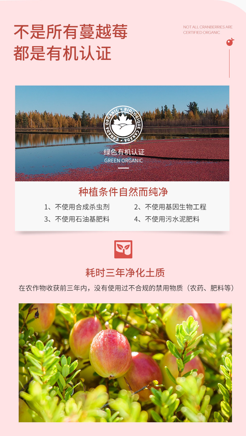 加拿大u安产 耐心 有机蔓越莓/樱桃/蓝莓 混合果干 196g 图3