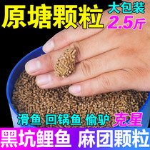 Tongwei Yuantang Ma Tuan particles small black pit carp nesting and leaving bottom feed fishing herring second sticky fishy bait