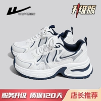 Белый и синий серый 【Обновление версии】