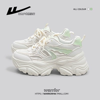 Светло -зеленый [обычное издание] (g)