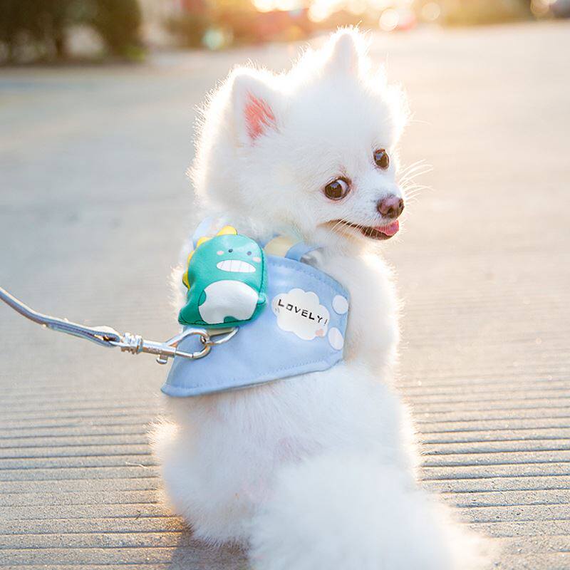 Cute pooch pulling rope out for vest-style small canine clothes than bear boom-beauty pet breast-holding baby bag for dog rope
