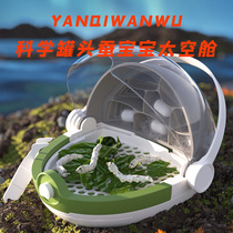 Science Canned Silkworm Baby Breeding Space Capsule Teaching Cultivation Observation Force Children students male and female rearing insect boxes
