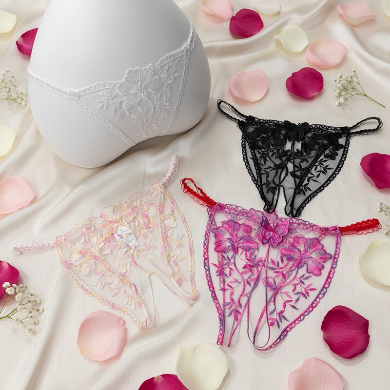 Pure Desire Lace Thong for Women, Vintage Floral Embroidery Mesh Thin Strap, Date Night Sensual Lingerie Pure Desire Lace Thong for Women, Vintage Floral Embroidery Mesh Thin Strap, Date Night Sensual Lingerie