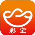 彩宝华冕手提袋
