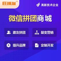 Small Programs Shang City Development Public Number Custom Website Making Shopping Building APP Points Platform 500-9
