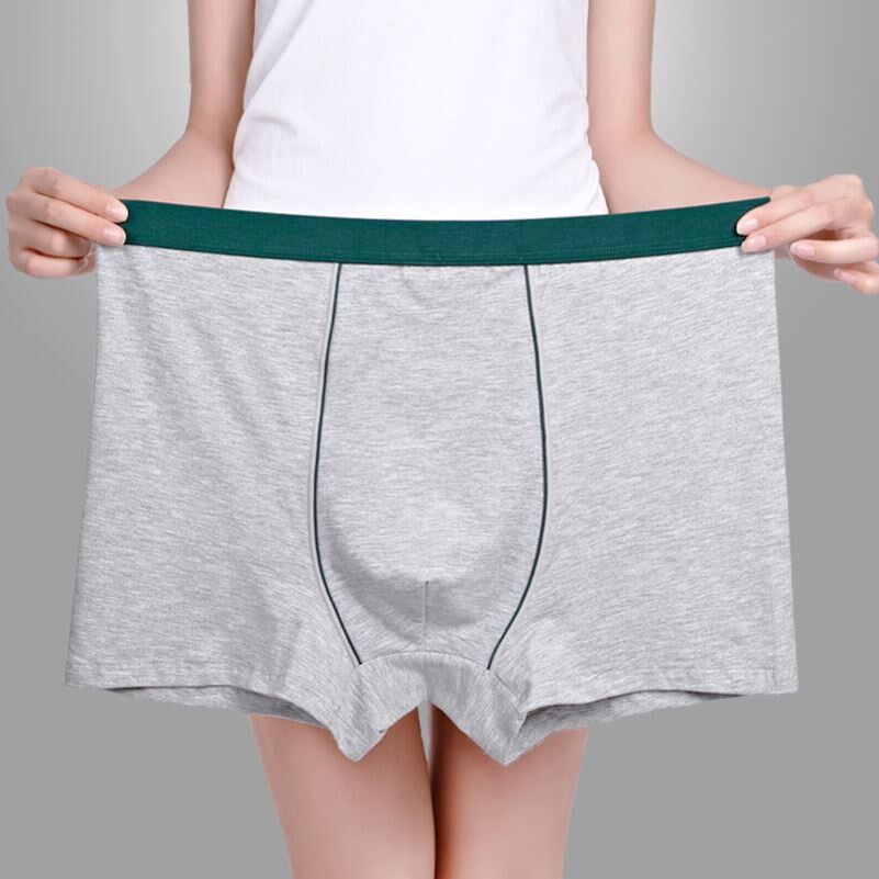 2-4 Cotton Men's Underpants Large Size Boxers Sexy Mid Waist 3D Seamless Loose Fat Guy Boxers