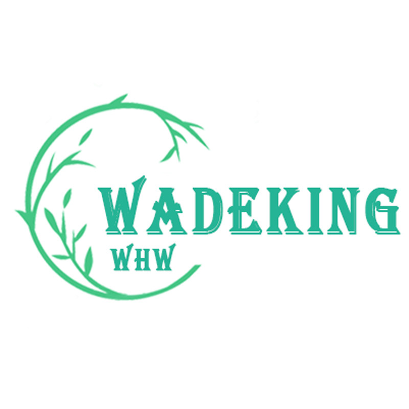 WADEKING 自由骑行的LOGO