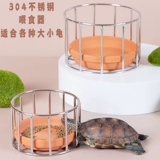 Черепаха Лу, уклоняйтесь от черепах, уклоняйтесь от солнца, купальника, кормить тарелку с водой 304 из нержавеющей стали.