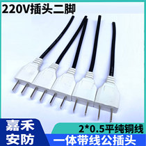 Plug male plug monitoring with wire two feet male plug 220V home plug male plug pure copper core 0 5