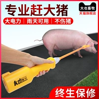 Daeya Animal Hedu У водонепроницаемой электроники свиньи есть свинья