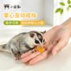 Sugar glider interactive reward snack palm interactive ring