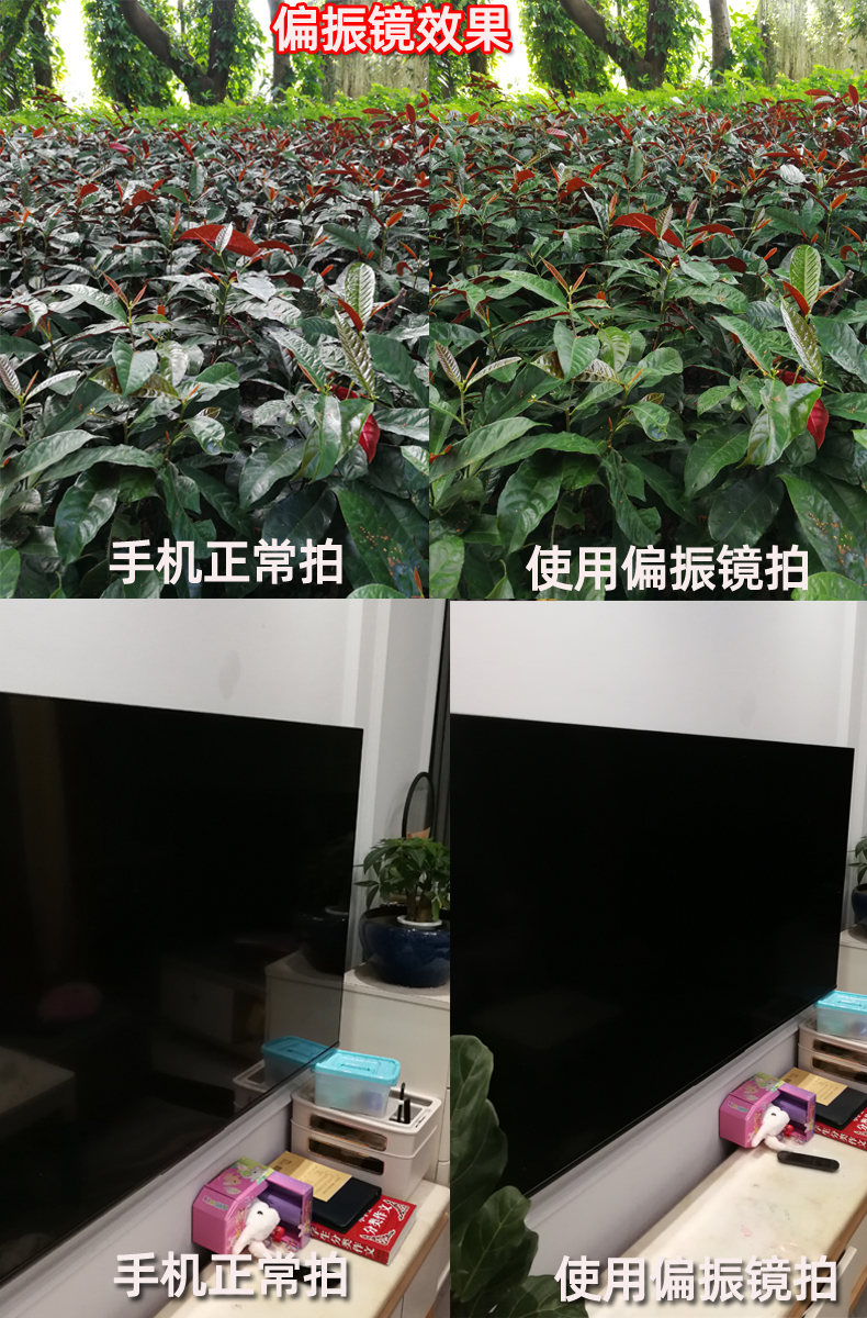 手机CPL偏振镜头过滤水面反光滤镜通用单反相机偏光镜 拍纹身镜头 苹果13华为通用14拍美食玻璃植物降低反光