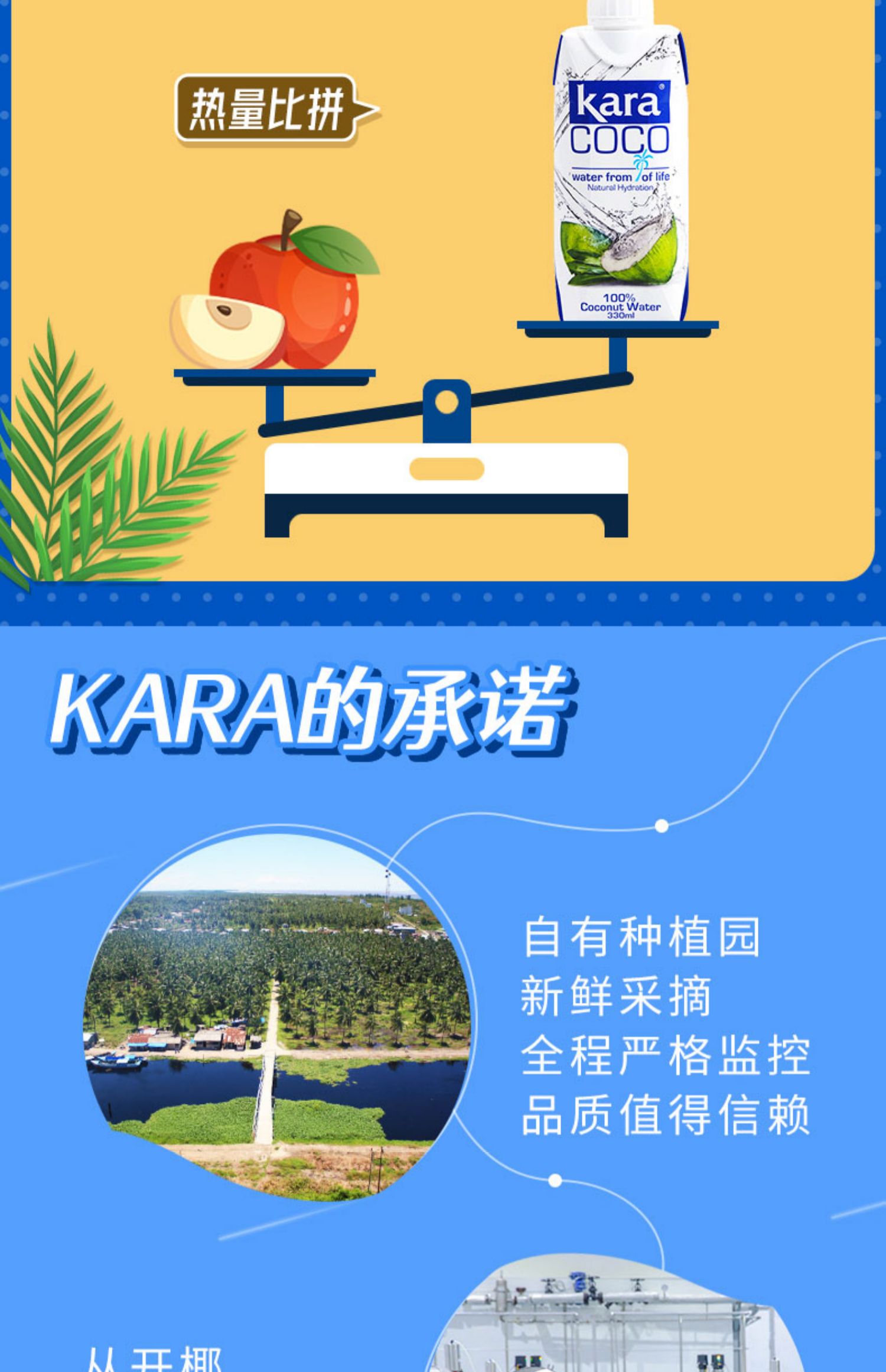 KaraCoco生打椰子水330ml*12