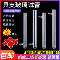 Bottom Equipped Test Tube Hard High Temperature Resistant 15 * 150 18 * 180 20 * 200mm Ant Tube Lower Glass Test Tube High Temperature Resistant Test Tube Glass Instruments Experimental Consumables