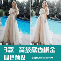 LR Preset PS Golden Ins Champagne Gold Brigade Pat Fashion FCPX Da Finch Mobile Phone APP Filter Mirror PR Toning LUT