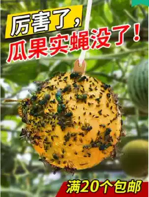 Fruit tree armyworm ball Fly lure ball Insect lure ball In addition to large real fly fruit fly board artifact to destroy melon and fruit real fly household trap