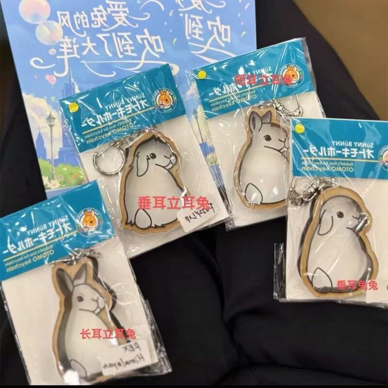 Rabbit Pet Hair Storage Box for Storing Commemorative Keychains, Independent Pet Accessories, Car Keychains