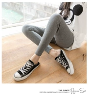 Глубоко серая чистая высокая пружина и осень [одиночная часть]