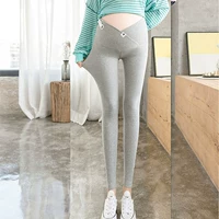 Светло -серая кошачья поясничная пружина и осень [один кусок одного куска]