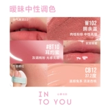 INTO YOU Термочехол, набор, помада, блеск для губ, румяна, делается под заказ