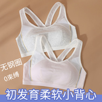 Sports Lingerie Women Summer Running Girl Hair Birth Elementary School Junior High School High School Slim no steel ring full cotton small vest