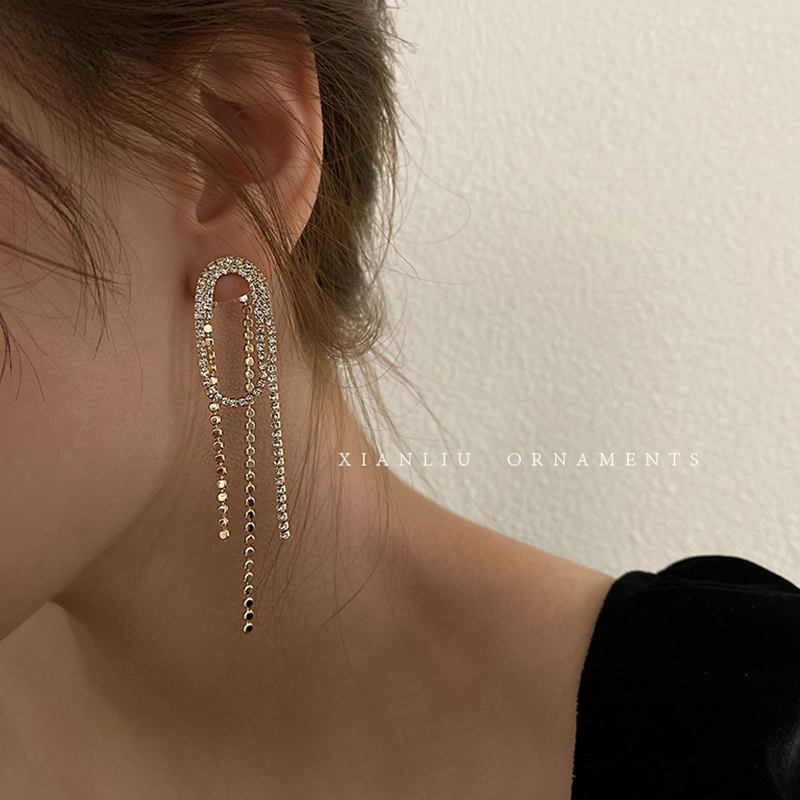 South Korean Stream Su Earrings Women's Advanced Elegant Atmosphere Pure Silver Temperament Small Crowddesign Refined Long Version Fashion Earrings