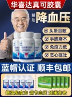 Капсульная капсульная капсула Hua Xida Shinkeko. Извлечение капсулы капсулы усиливает официальный флагманский хранение иммуногистических людей для снижения кровяного давления