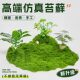 Simulated Moss, Artificial Turf, Outdoor Beautification, Artificial Landscaping, Indoor Permanent Micro-Landscape Decoration, Pavement, Simulated Green Plants