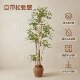Nantian Bamboo Artificial Green Plant [Real Tree Trunk] Indoor Living Room High-End Wabi-Sabi Style Decoration Bionic Fake Plant Ornament