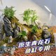 Green Dragon Stone Decorative Rockery Natural Stone Small Mini Stone Pieces for Fish Tank, Plant Tank, Landscaping Stone, Bonsai, Indoor Garden Landscape