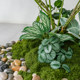 Simulated Green Plant Ornaments, Landscaping, Green Leaves and Materials, Single Leaf Living Room Floral Arrangement, Indoor Plant Wall Decoration