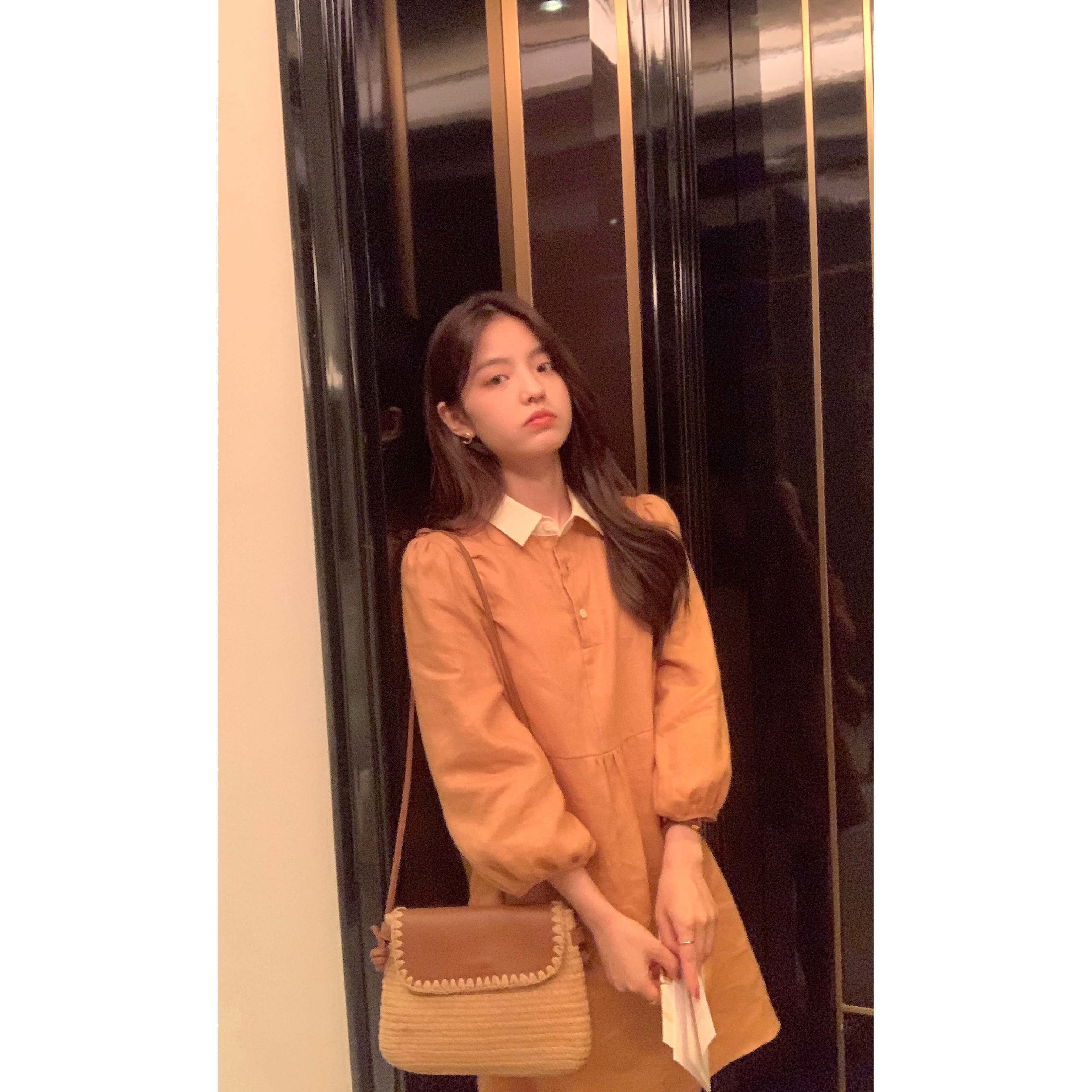 Skirt Conspiculess Shade of Flesh And Fat Korean Version Bursting with Body Dress Spring Autumn New Loose Splicing Fashion A Word