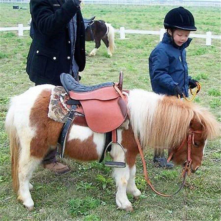 袖珍矮马,宠物新选择 Pony,设特兰矮马, HeyPuro矮马 🐴 -其它服饰配件-淘宝好物网