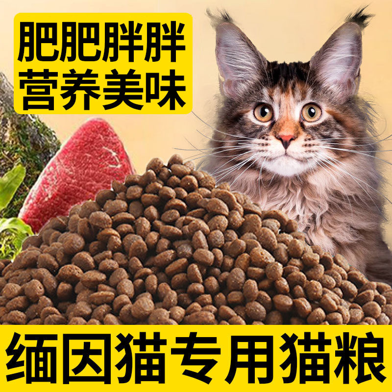 Maine  Cat Food, Special Cat Food for Kittens and Young Cats, 5kg for 3-12 Months Old Kittens, 10kg for Beautiful Fur Food
