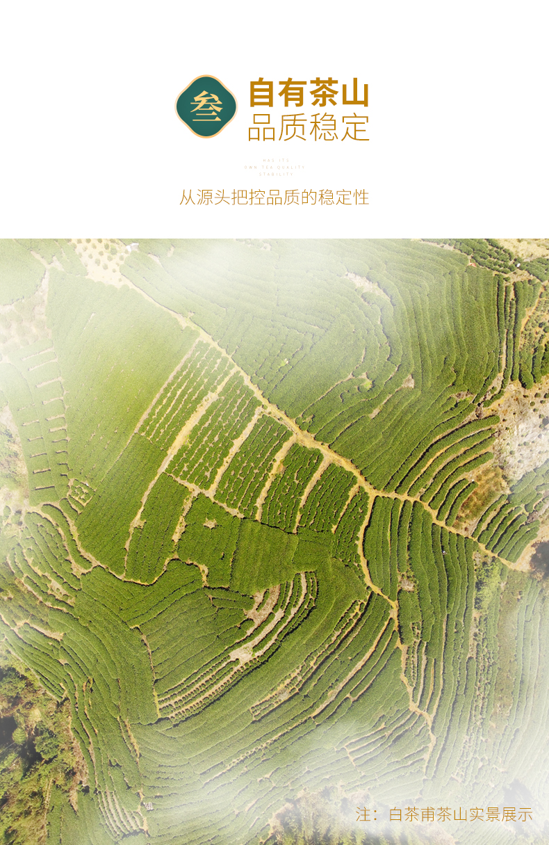 白茶甫 2019年份贡眉 正宗福鼎白茶饼 350g 降火消暑 图7