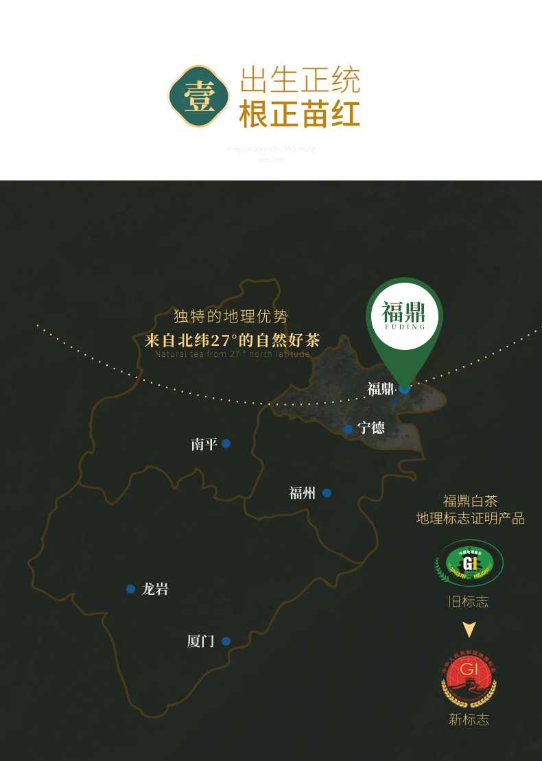 白茶甫 2019年份贡眉 正宗福鼎白茶饼 350g 降火消暑 图5