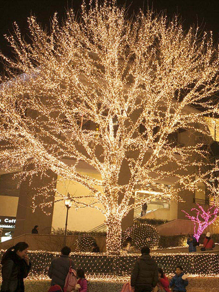 Colorful color changing star light led color light flashing light string starry outdoor waterproof decoration New Year scene decoration