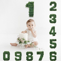Birthday digital ins net red small fresh baby one-year-old decorations simulation green plant childrens party scene layout